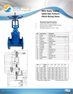 665 RSV Gate Valve RS PN16 undrilled Spec.PDF