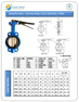 Butterfly Valve CL SS PN16.PDF 