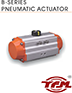 Compressed Actuator Catalogue.PDF