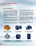 Lined Check Valves.PDF