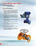 Lined Diaphragm Valve.PDF