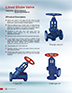Lined Globe Valve.PDF